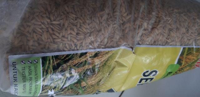 Benih Padi Unggul Indrida Sertani 14 Bibit Padi