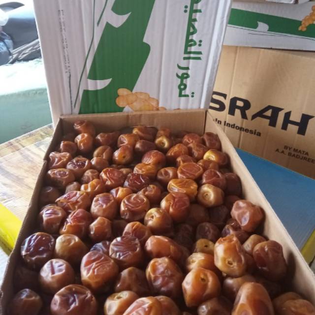

Kurma syukari