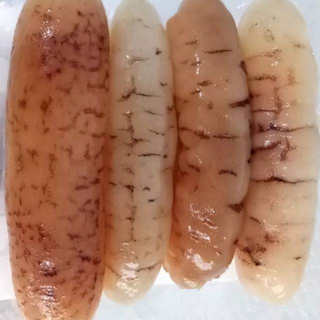 

Hoisem haisom teripang asli belitung GRADE A 500gr