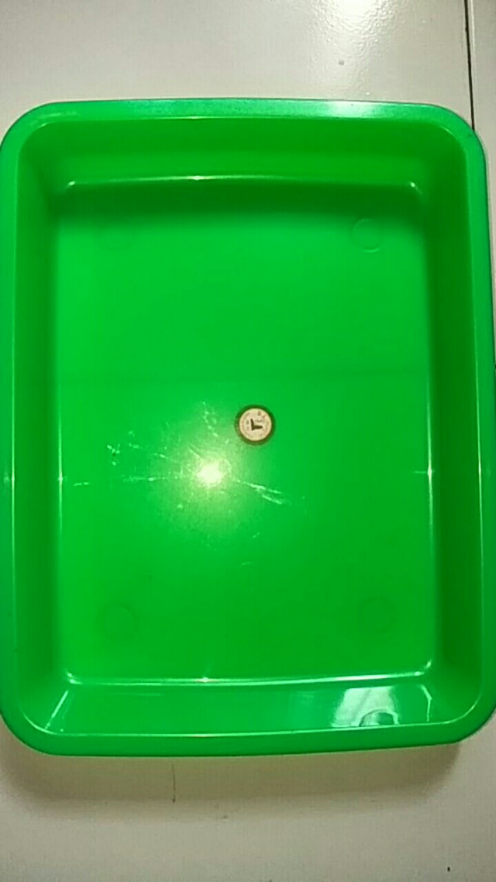 Nampan Besar / Nampan Saji / Nampan Plastik No.3