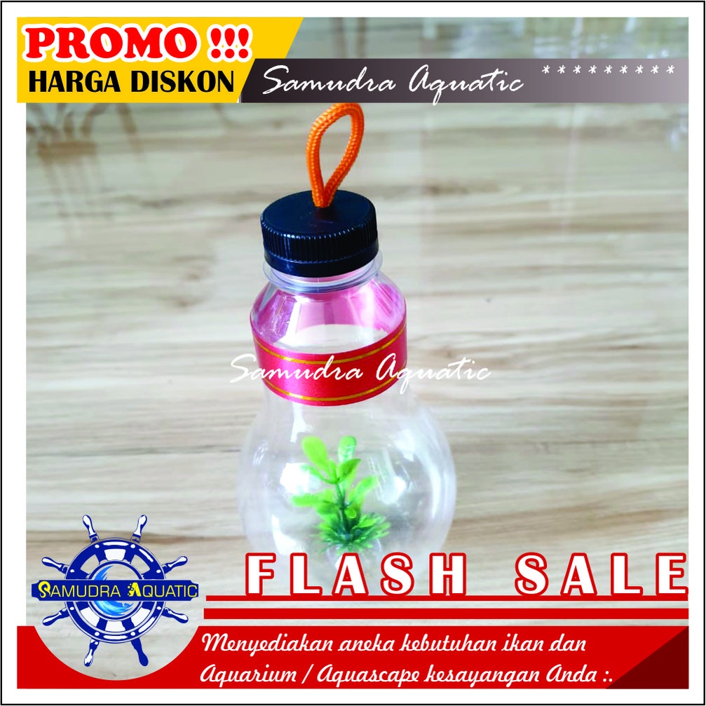 Botol Mini Cupang, Botol Soliter Ikan Hias