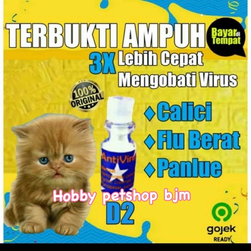 Obat D2 kucing antibiotik - obat hewan distemper sesak nafas panleu pipis darah