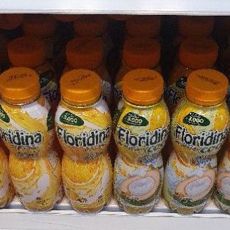 

Floridina juice ORANGE / COCO ORANGE Minuman jeruk 350ml