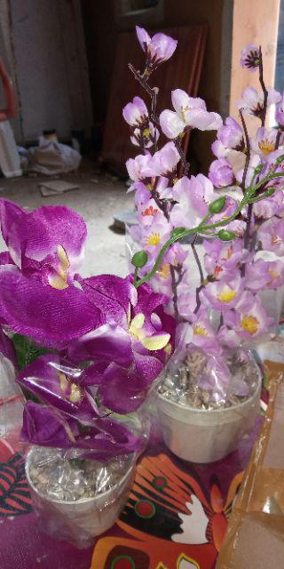 Sakura Pot Plastik D 10cm