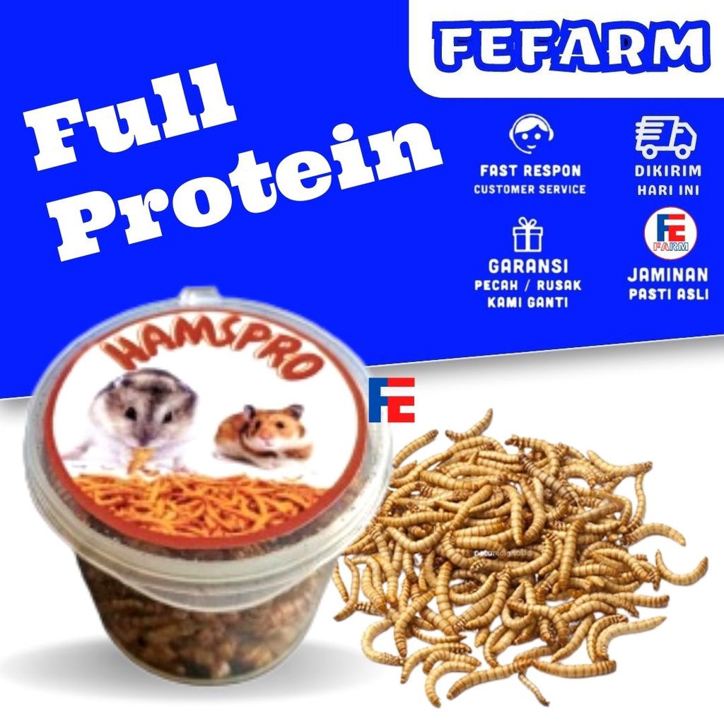 SEAFOOD HAMSTER ULAT HONGKONG JERMAN  PROTEIN TINGGI HAMSPRO FEFARM