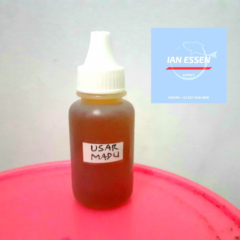 

Essen Usar Madu kental super biang 30 mili
