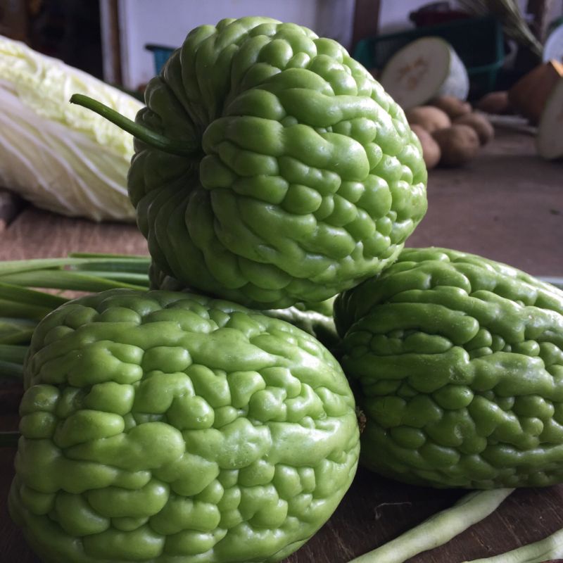

Pare Apel 500 gram