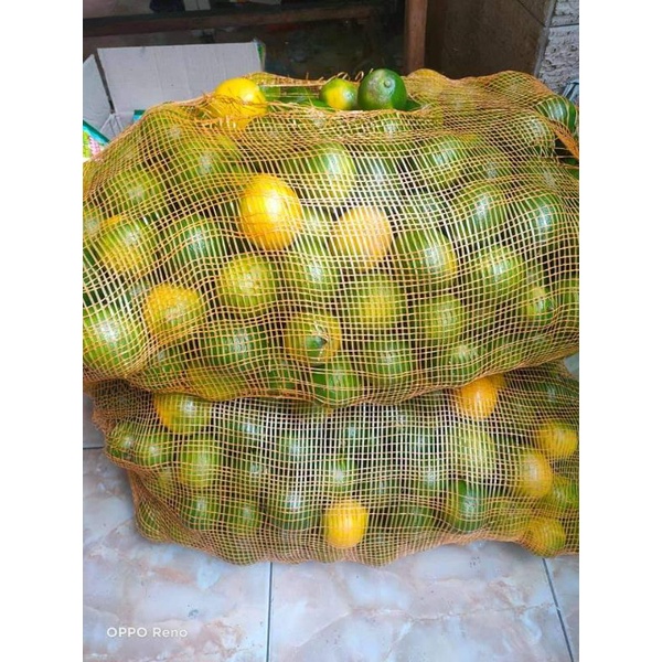 

jeruk lemon