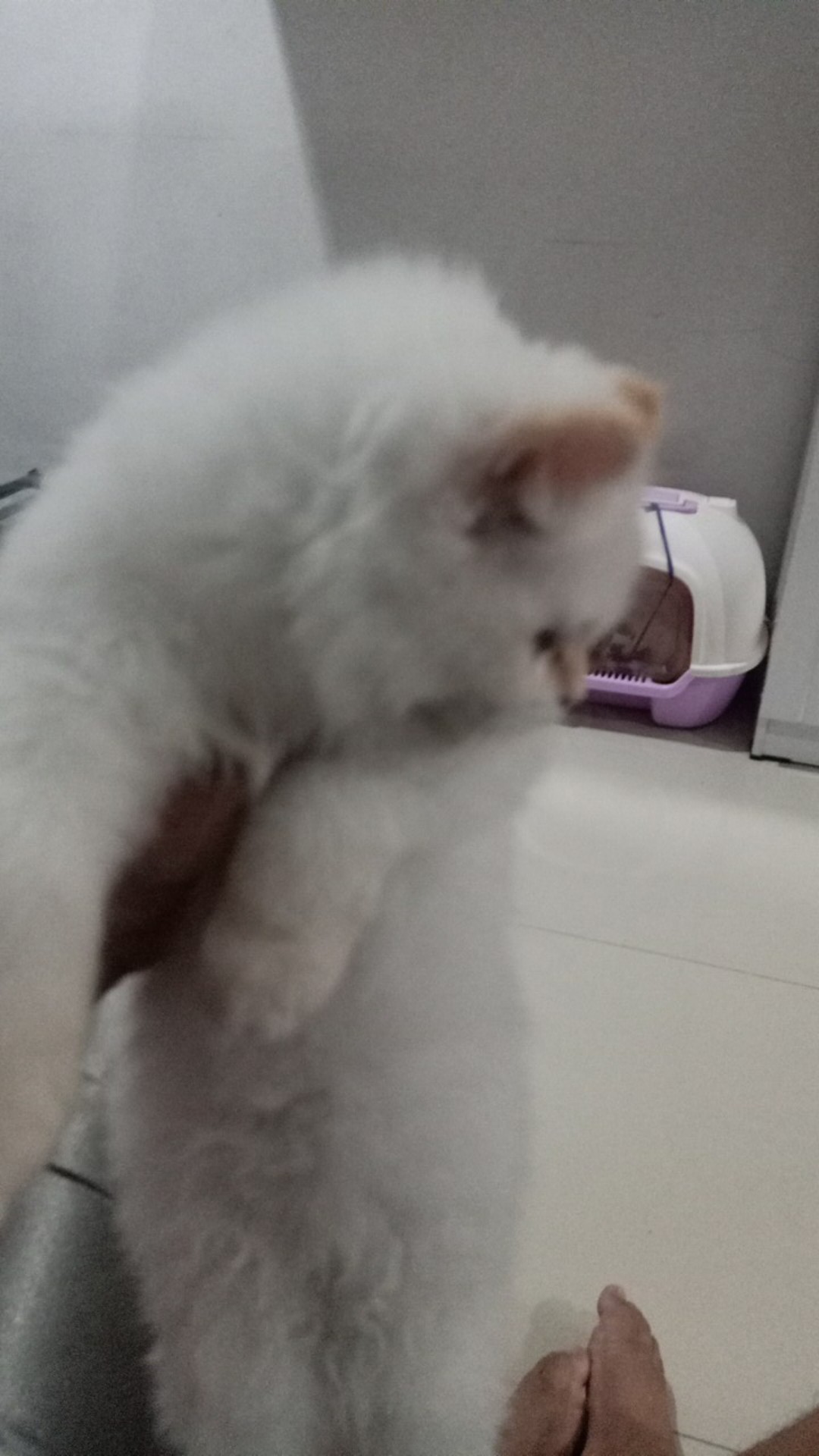 Termometer Pengukur Suhu Kulkas Kualitas Tinggi