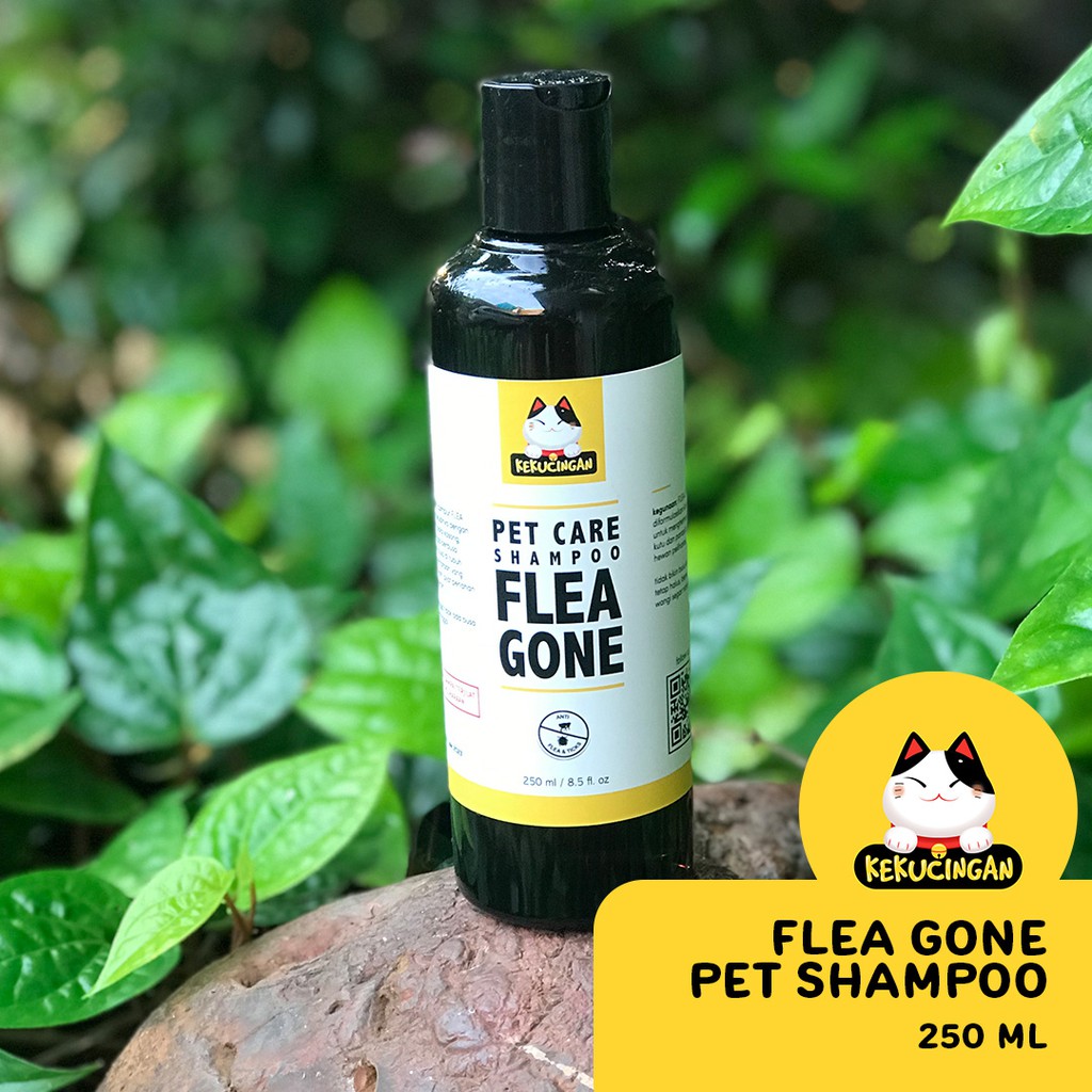 Flea Gone Shampoo Anti Kutu Jamur Penyakit Kulit Kucing Anjing Kitten