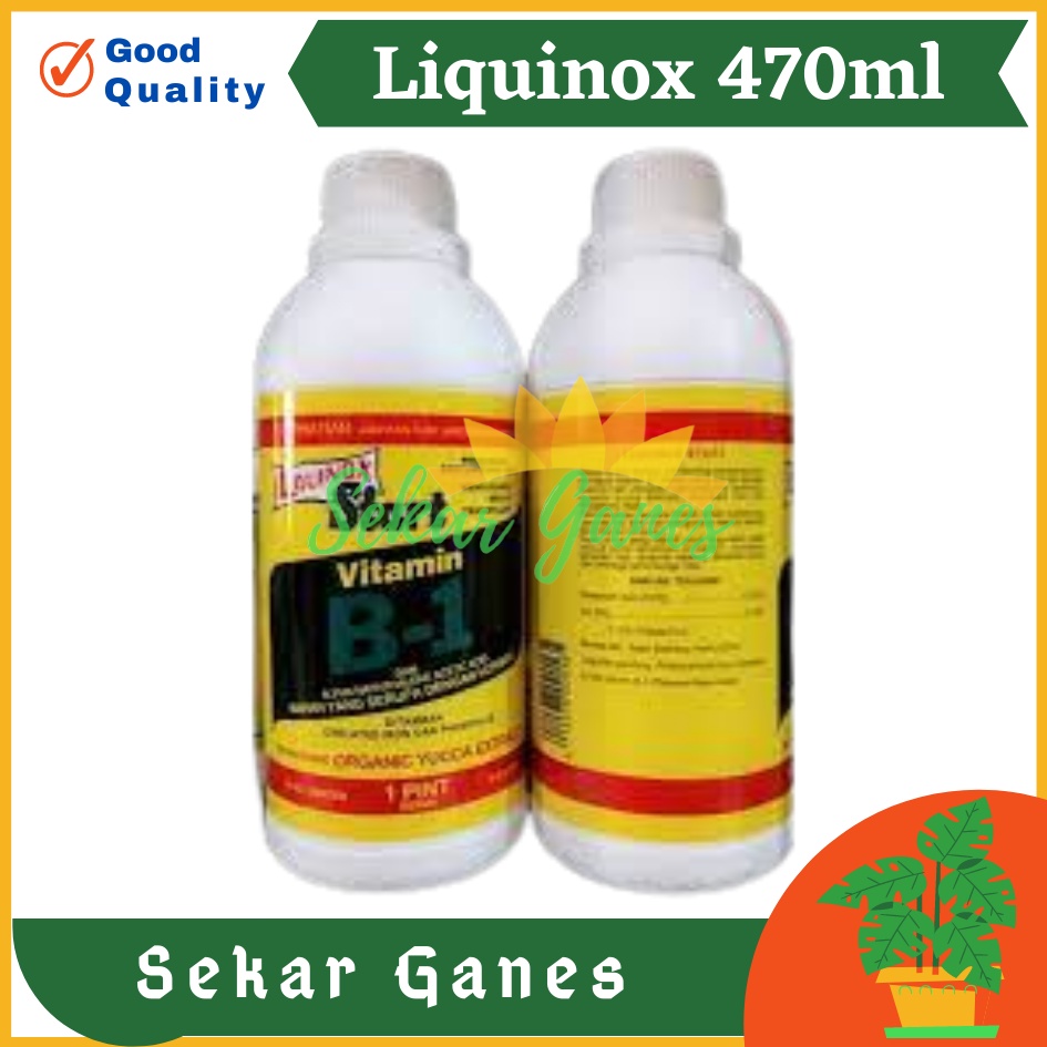 Ori B1 Liquinox 470 Ml Penumbuh Akar Obat Anti Stres Vitamin Nutrisi B1 Tanaman Bibit Stek Cangkok