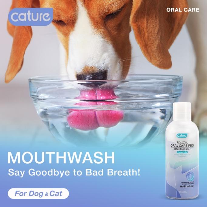 .........] CATURE Oral Care Pro Mouthwash for Dog & Cat