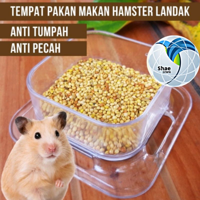 TEMPAT MAKAN AKRILIK TRANSPARAN/TEMPAT MAKAN HAMSTER/TRMPAT MAKAN ANTI TUMPAH/TRMPAT MAKAN HEWAN