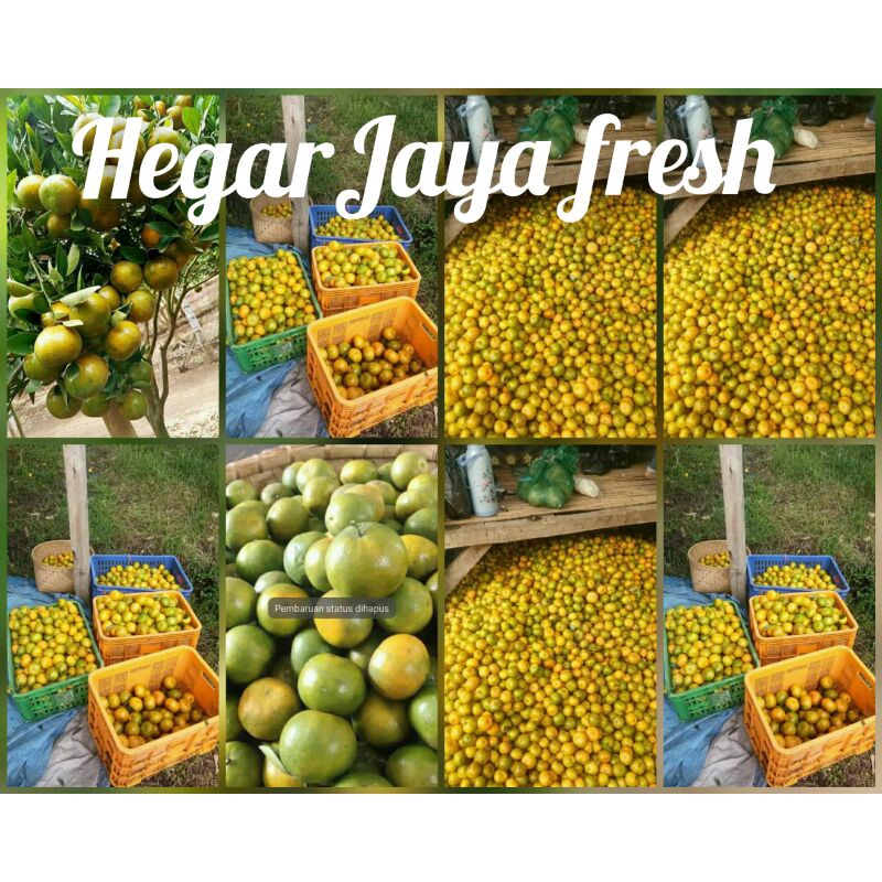 

jeruk garut asli 100%1kg