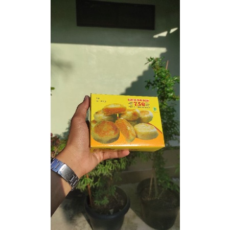 

Bakpia Keju Basah isi 15