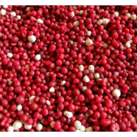 ✨COD slow release pupuk 100g - slow release 19 10 13 - pupuk tanaman hias - pupuk merah - pupuk aglo