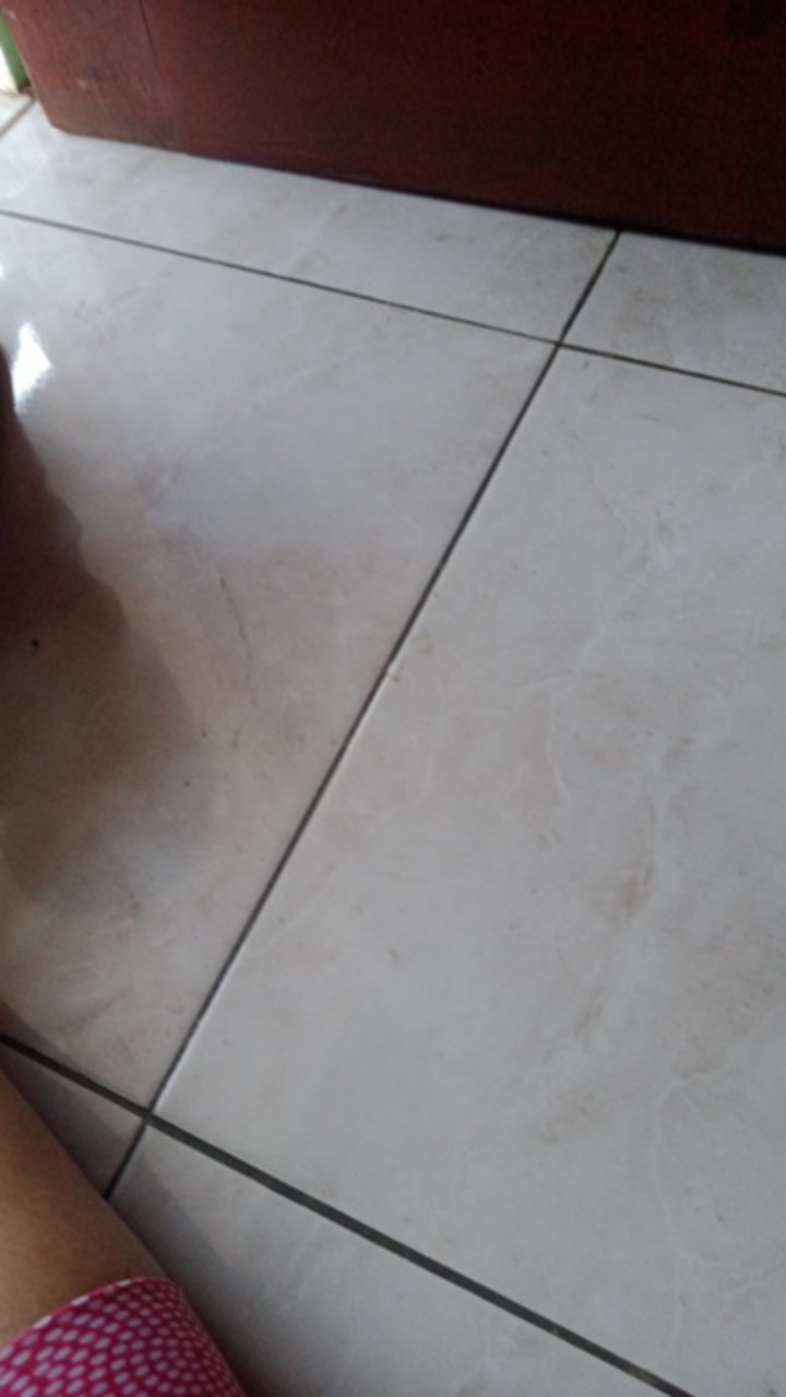 Panci Gagang Alcor New Primero 18cm Tutup Kaca