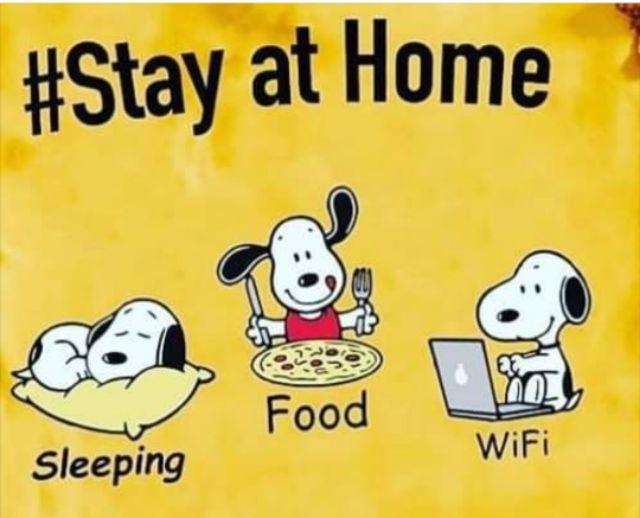 100pcs Penutup Kepala Sekali Pakai Bahan Plastik Anti Air Untuk Shower / Mandi