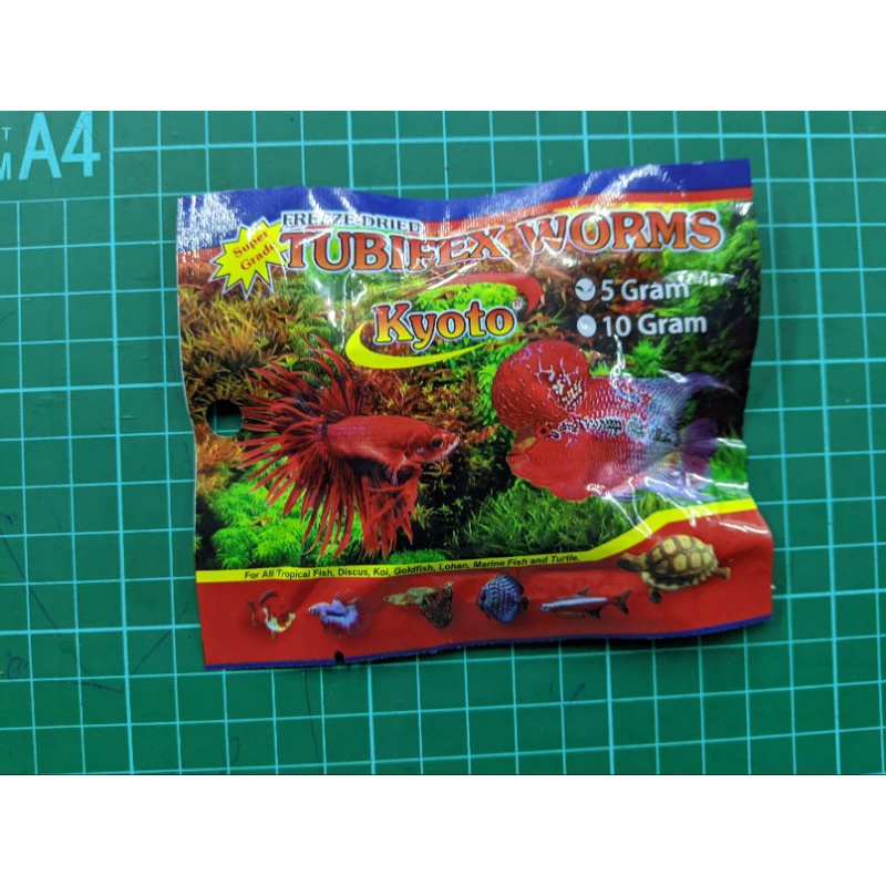 Tubifex worm pakan cacing kering