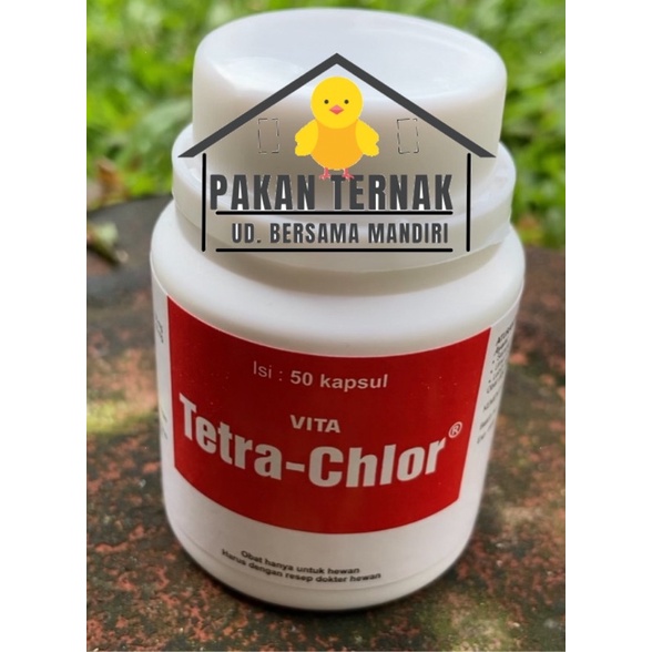 Tetra Chlor