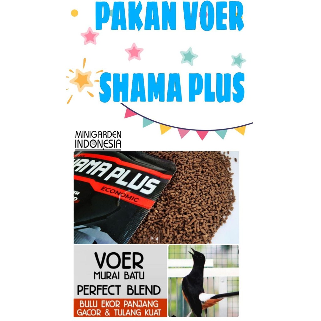 PAKAN BURUNG VOER SHAMA PLUS EKONOMIS 100 GRAM murai kacer ciblek pur makanan burung tinggi protein