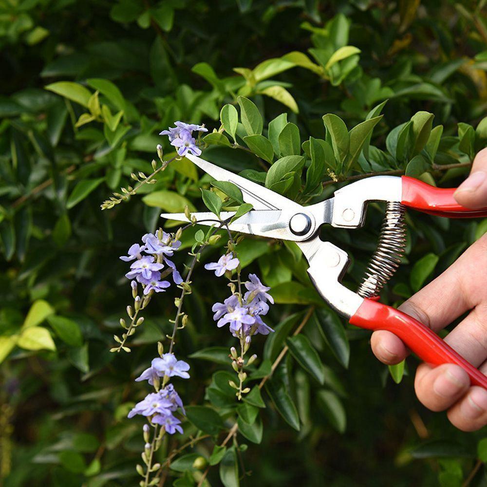 [Elegan] Hand Pruner Trimmer Lurus Florist Gardening Pruning Snips Gunting Pruning Daun