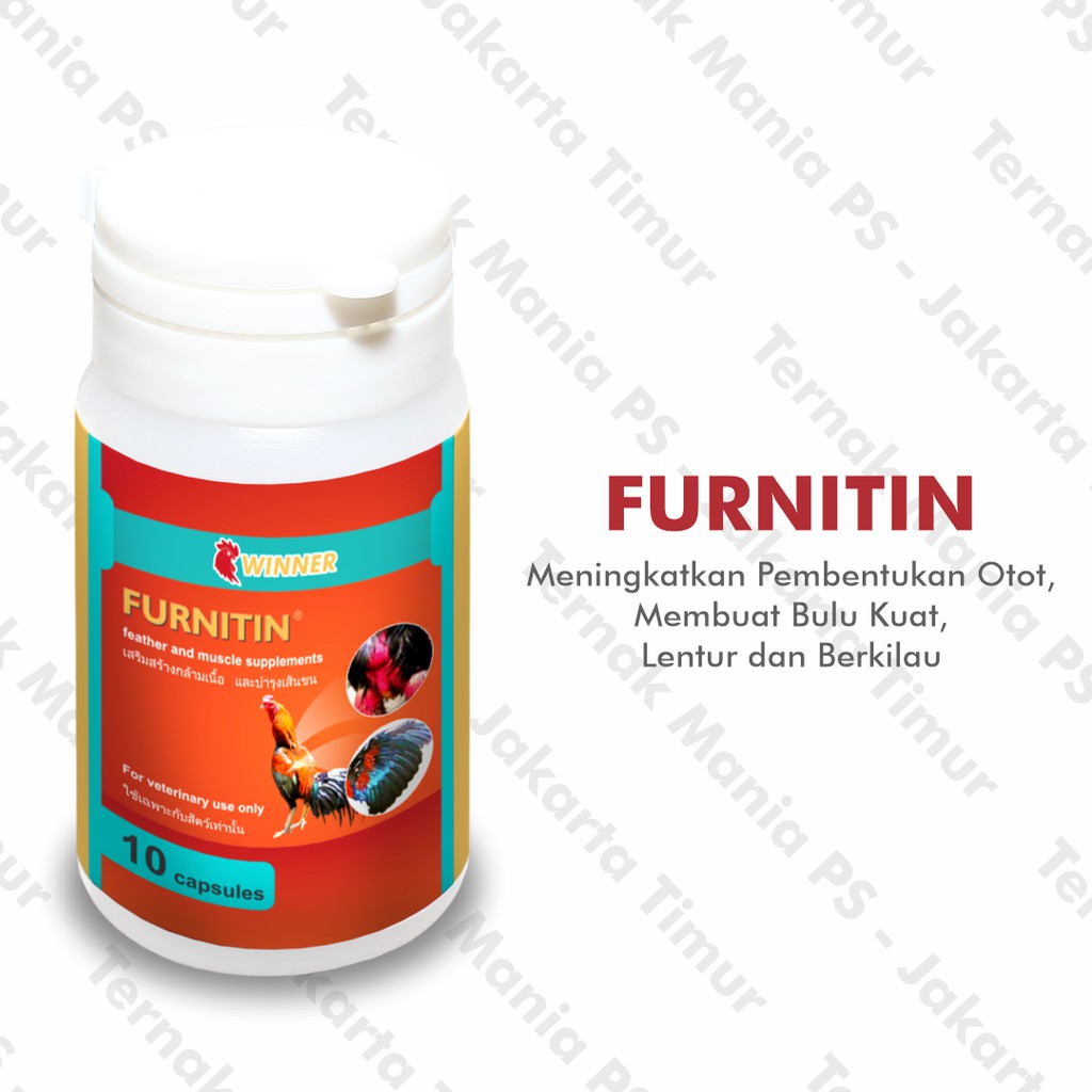 Obat Ayam Adu/Kampung Furnitin 10 Kps JakTim