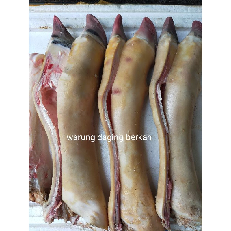 

Kaki lokal super 1batang