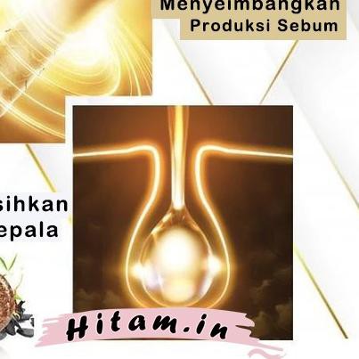 ➵ HITAMIN.ID SAMPO ATASI RAMBUT RONTOK KUSAM KETOMBE BERLEBIH KULIT KERING UBAN 100% SAMPO ORIGINAL