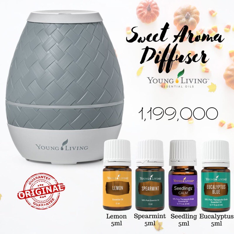 paket sweet aroma diffuser young living eucalyptus