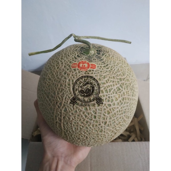 

Melon Kumamoto Arus Red Musk MelonJapanese Per Pcs Fresh Import