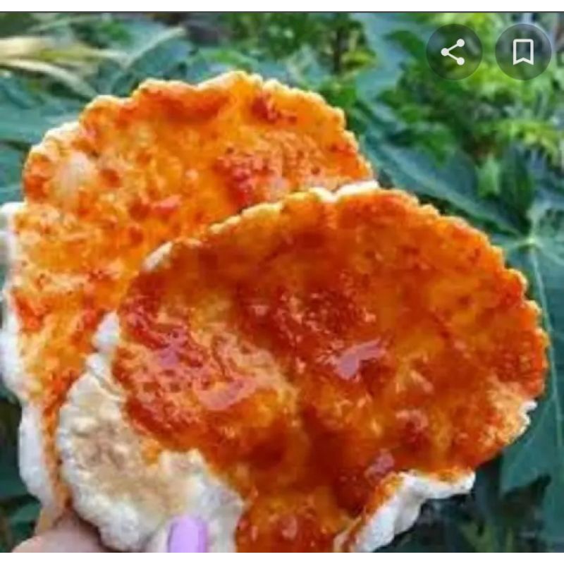 

kemplang panggang isi 25