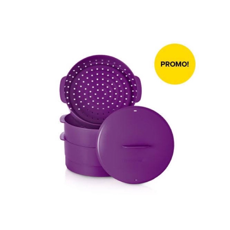TUPPERWARE STEAM IT