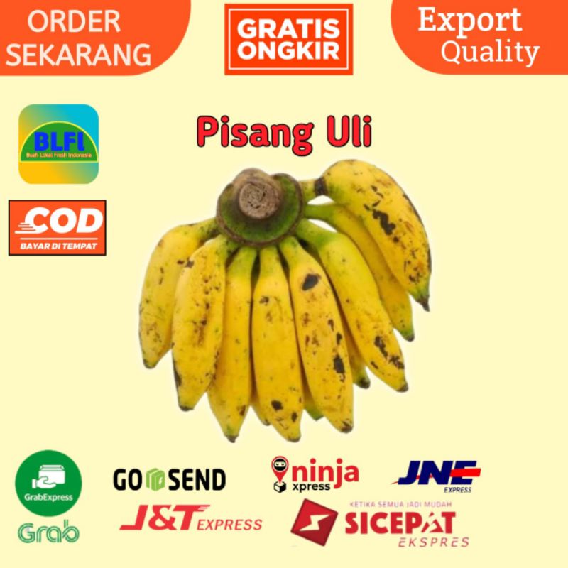 

PISANG ULI PER SATU SISIR