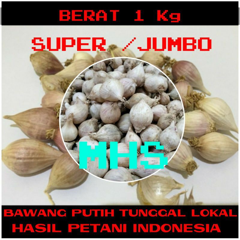 

Bawang Putih Tunggal Bawang Lanang Lokal Super 1 kg
