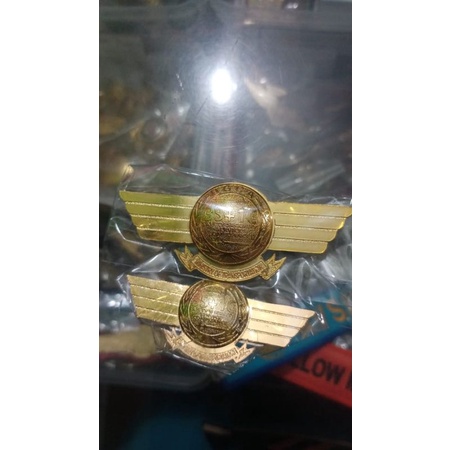 WING DGCA / 3S1C