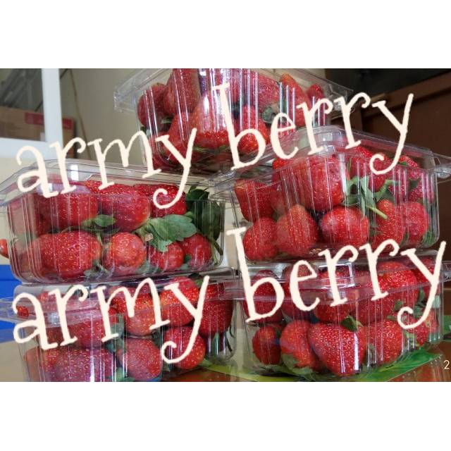 

Strawberry(fresh organik)