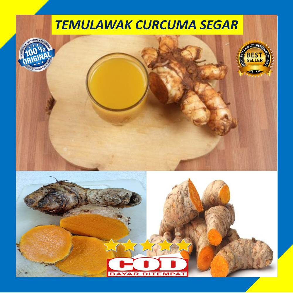 

Temulawak Curcuma Segar 500 Gram Organik