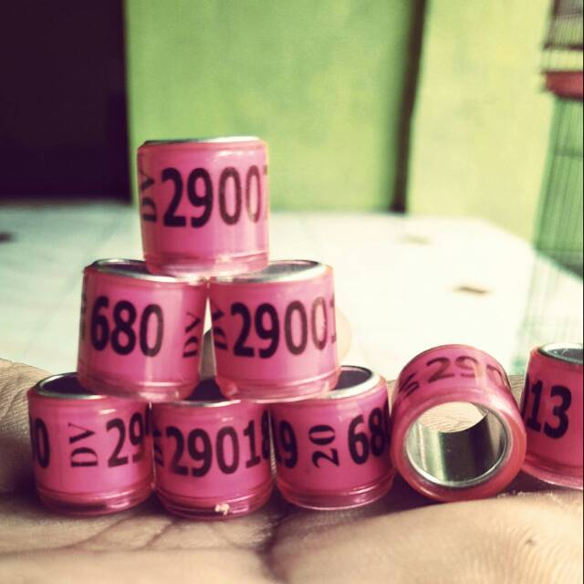 MuRrAh...  Grosir ring merpati/burung dara import tahun 2020  harga per 25 biji