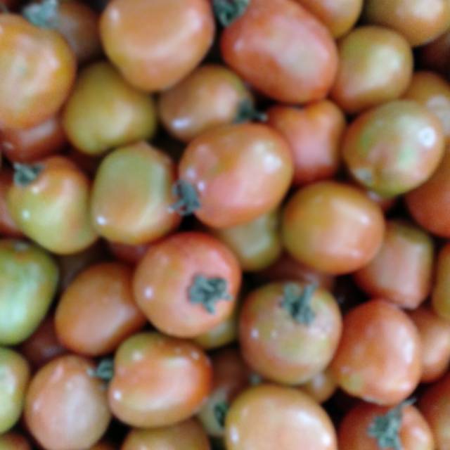 

Tomat Segar Murah 500 gram ~ Tomato fruit