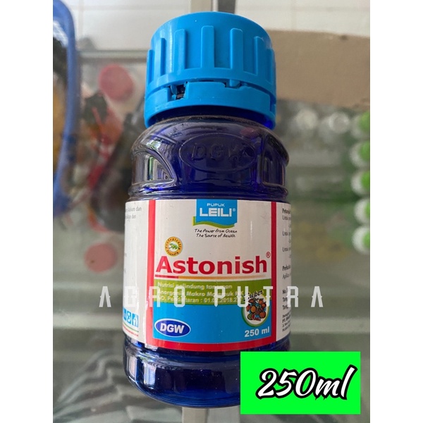 ASTONISH DGW 250ml