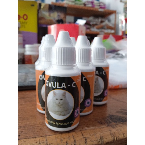 obat birahi kucing OVULA - C