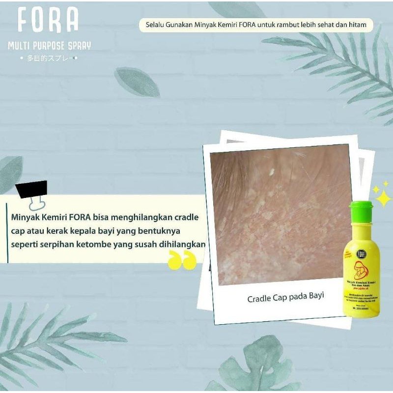 *FRAULEINCO* Minyak Kemiri Murni + Jojoba Oil Penumbuh Rambut dan Alis FORA BPOM 65ml / Minyak penumbuh rambut bayi