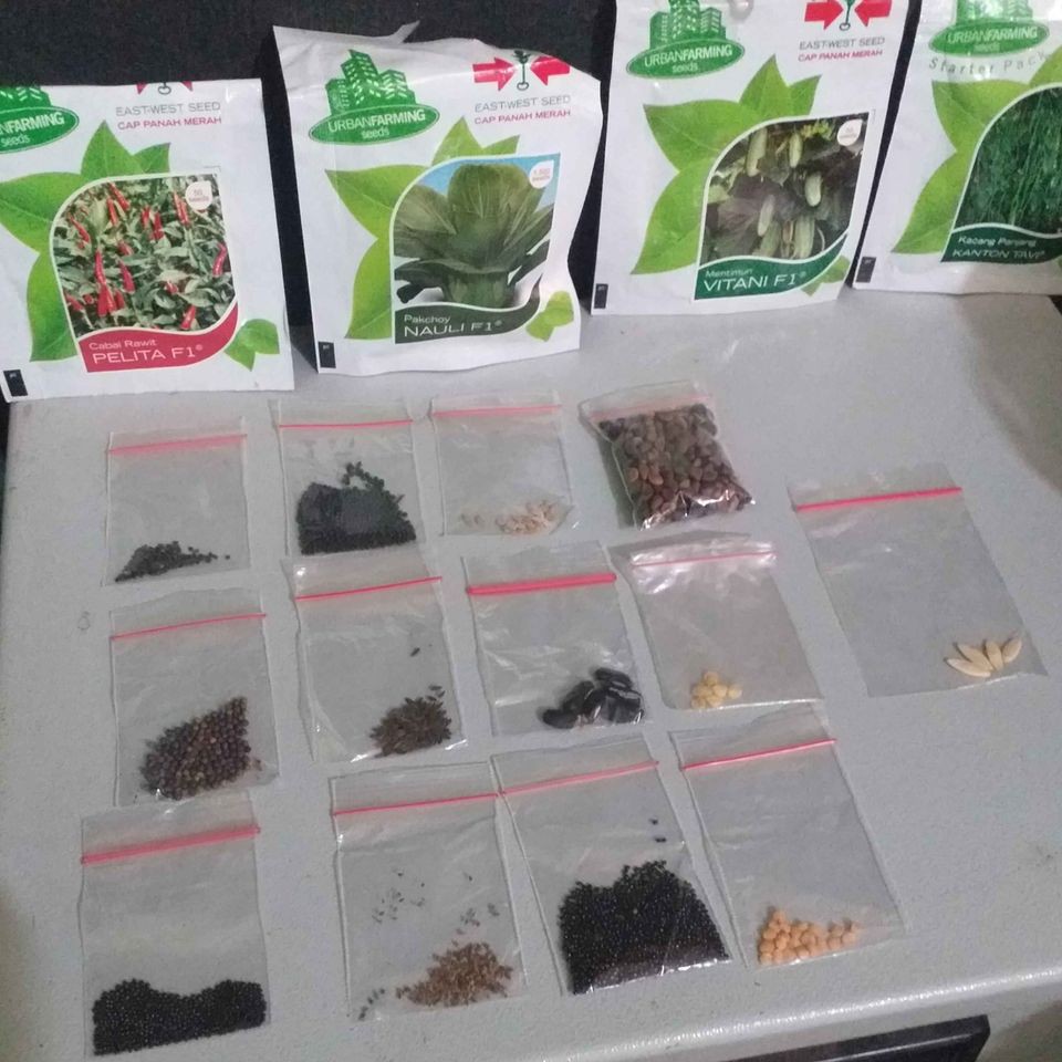 bibit sayuran 13 macam bibit sayuran ,bonus pupuk nkp