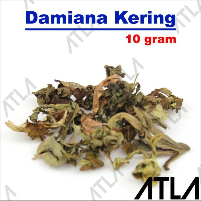 

FREE ONGKIR Daun Damiana Kering 10 gr Teh Herbal Daun Vaporilzer Turnera SD055