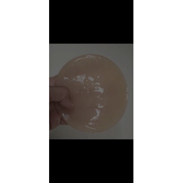 

ScobyKombuchaAlami