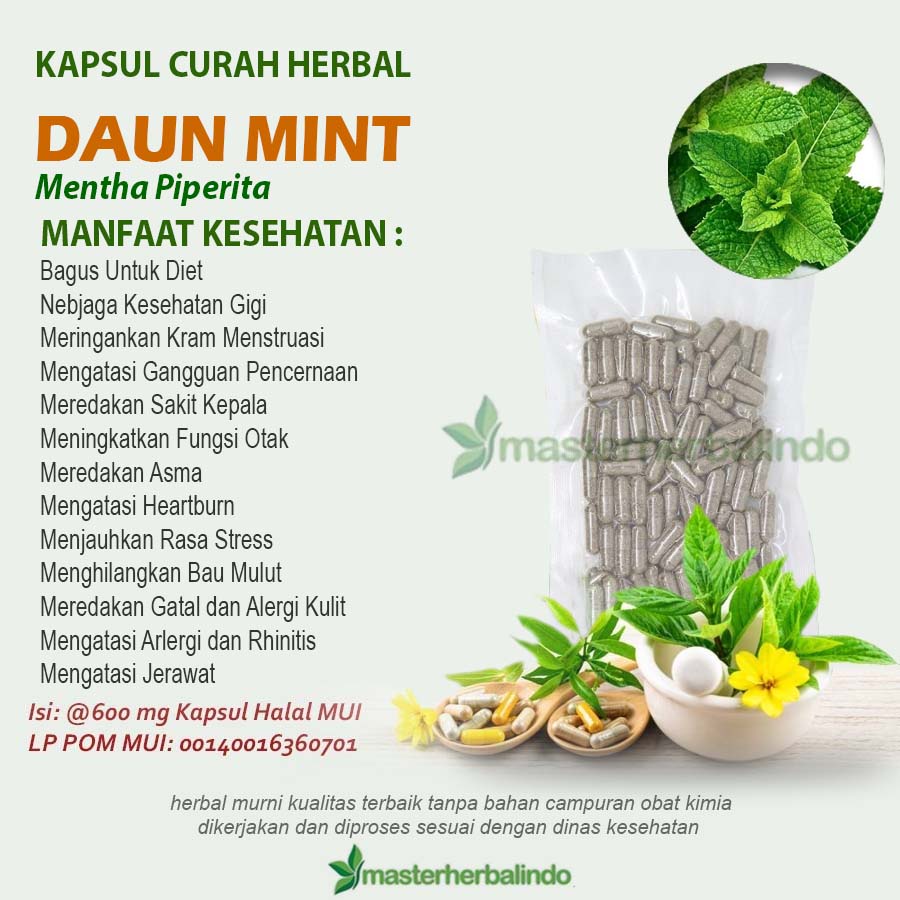 DAUN MINT 100 Kapsul Curah Herbal Diet Jerawat Fungsi Otak Stres Gigi