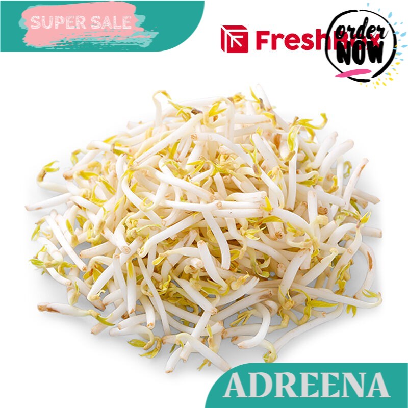 

Tauge 500 Gr Adreena Freshbox