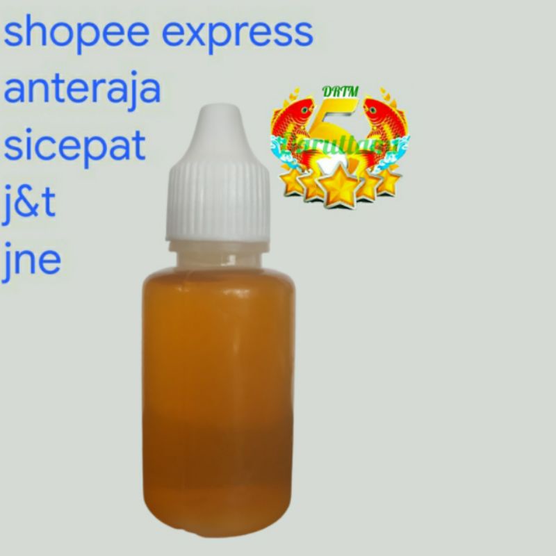 Essen Bulus Oil Biang Murni 30mili
