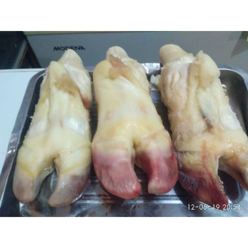 

kaki sapi